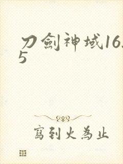 刀剑神域16.5