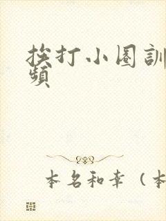 挨打小圈训诫视频