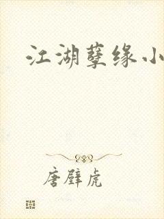 江湖孽缘小说封面
