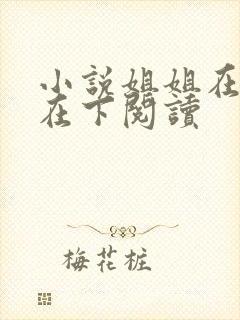 小说姐姐在上我在下阅读