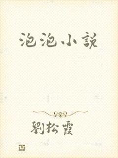 泡泡小说