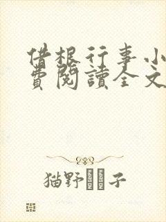 借根行事小说免费阅读全文在线阅笔趣无弹窗封面