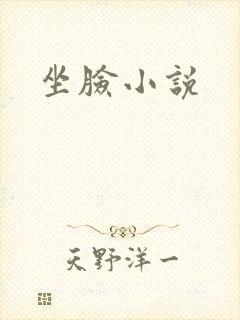 坐脸小说