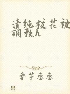 清纯校花被地狱调教h