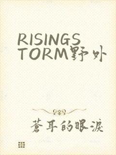 RISINGSTORM野外