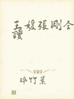 王媛张刚全文阅读封面
