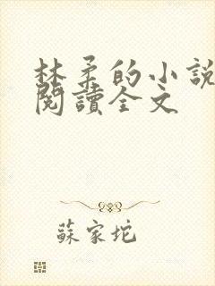 林柔的小说在线阅读全文