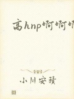 高hnp啊啊啊