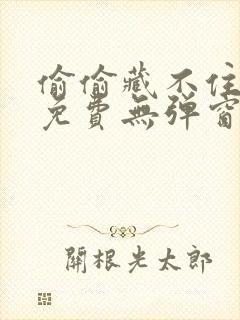 偷偷藏不住全文免费无弹窗阅读