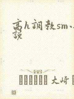 高h调教sm小说
