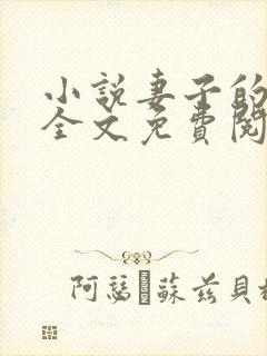 小说妻子的秘密全文免费阅读