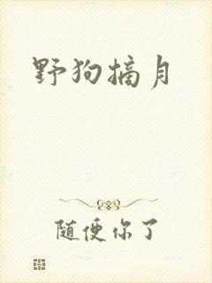 野狗摘月