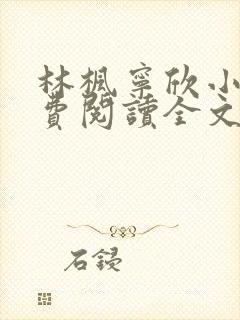 林枫宁欣小说免费阅读全文
