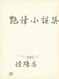 艳情小说集封面