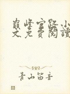 巅峰官路小说全文免费阅读无弹窗