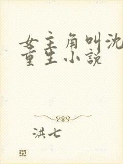 女主角叫沈晚的重生小说