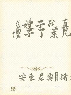 《嫂子我真不是傻子了叶凡》封面