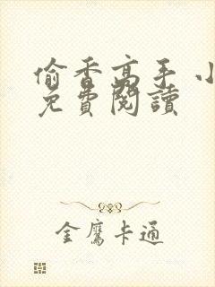 偷香高手 小说免费阅读