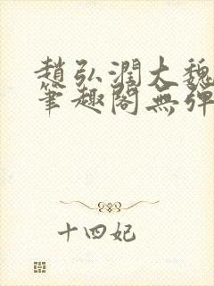 赵弘润大魏宫廷笔趣阁无弹窗