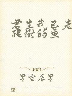 君生我已老 爱爬树的鱼