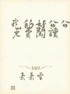 我的好公公小说免费阅读封面
