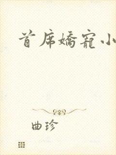 首席娇宠小情人