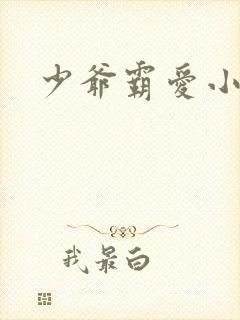 少爷霸爱小丫头
