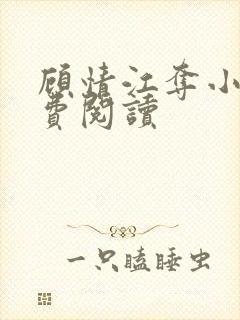 顾情江夺小说免费阅读