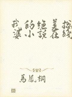 我的绝美总裁老婆小说在线阅读