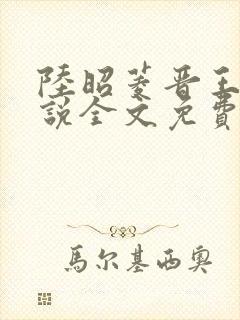 陆昭菱晋王的小说全文免费阅读封面