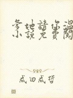 爹地请你温柔点小说免费阅读封面