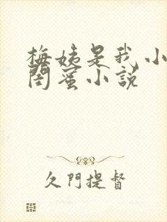 梅姨是我小妈的闺蜜小说