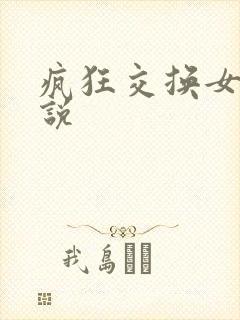 疯狂交换女友小说封面
