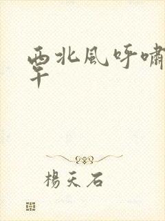 西北风呼啸的中午