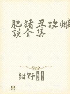 肥猪丑攻雌堕小说全集