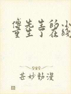 傅先生的小祖宗重生了在线阅读