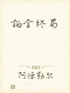 铂金终局