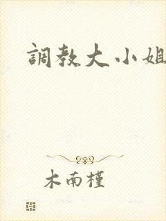 调教大小姐