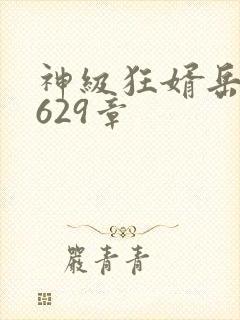 神级狂婿岳风第629章