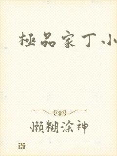 极品家丁小说封面
