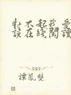 对不起我爱你小说在线阅读