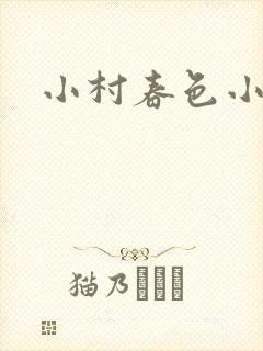 小村春色小说封面