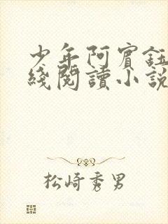 少年阿宾钰慧在线阅读小说txt