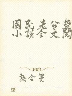 国民老公带回家小说全文阅读免费