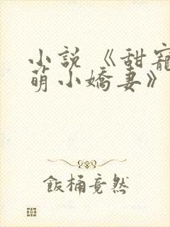 小说 《甜宠呆萌小娇妻》