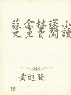 苏念林琛小说全文免费阅读最新章节无弹窗封面