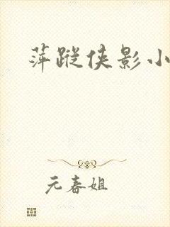 萍踪侠影小说