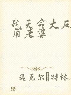我天命大反派主角老婆