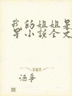 我的姐姐是大明星小说全文阅读