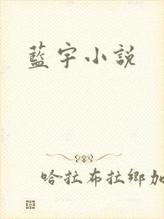 蓝宇小说